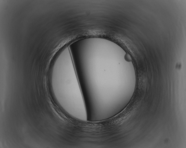 X0000097800443200803140739