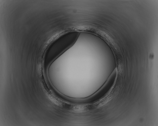 X0000097800444200803140739