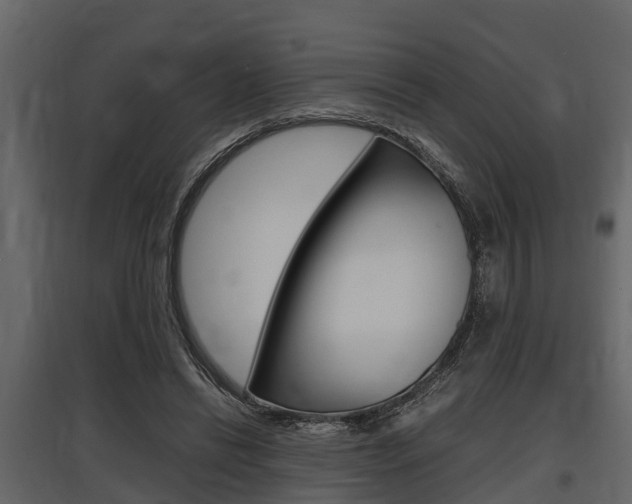 X0000097800446200803140740