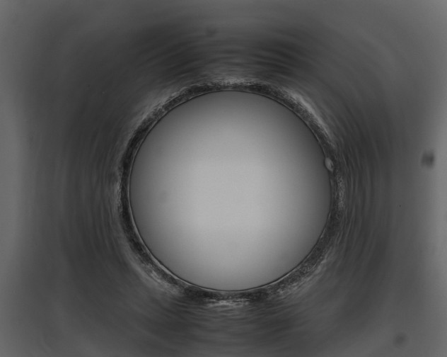 X0000097800447200803140740