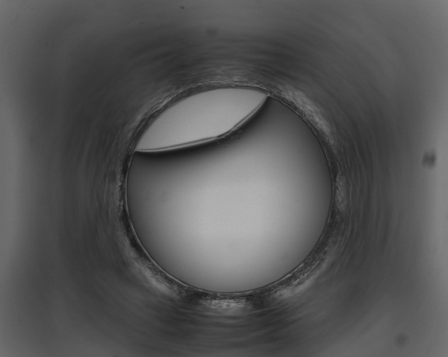 X0000097800449200803140740