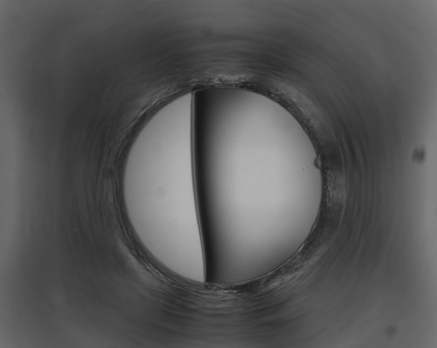 X0000097800451200803140740