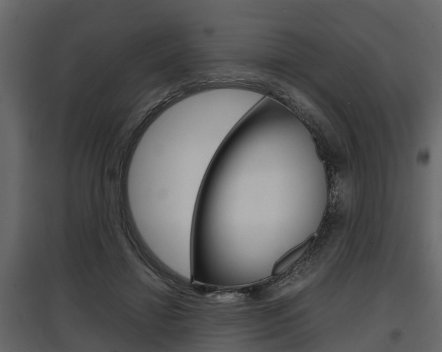 X0000097800452200803140740