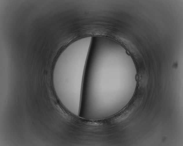 X0000097800453200803140740