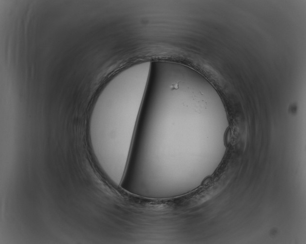 X0000097800454200803140740