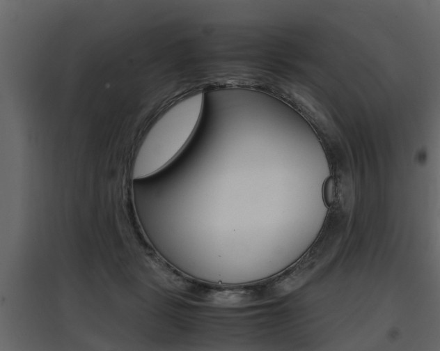 X0000097800461200803140740