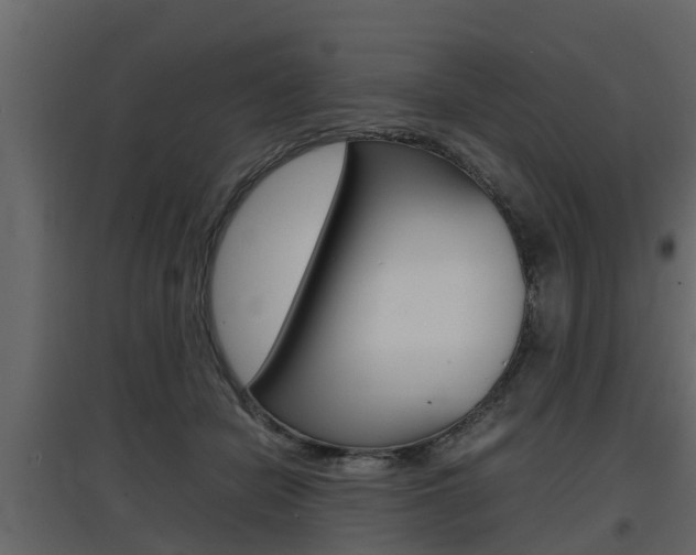 X0000097800462200803140740