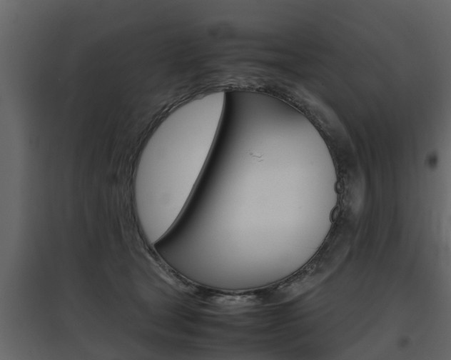 X0000097800465200803140740