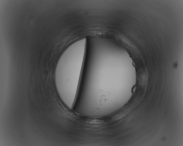 X0000097800467200803140740