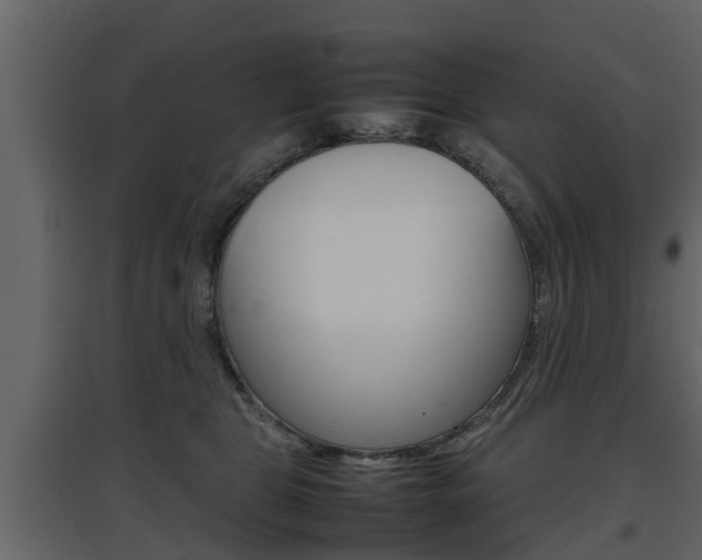 X0000097800469200803140740