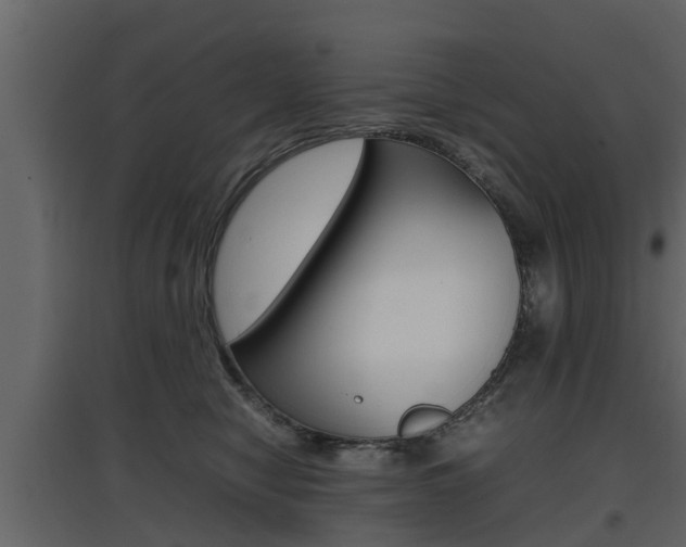 X0000097800470200803140740