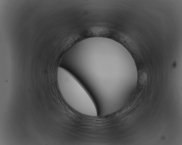 X0000097800471200803140740