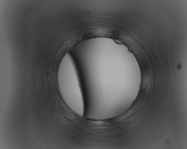 X0000097800473200803140740