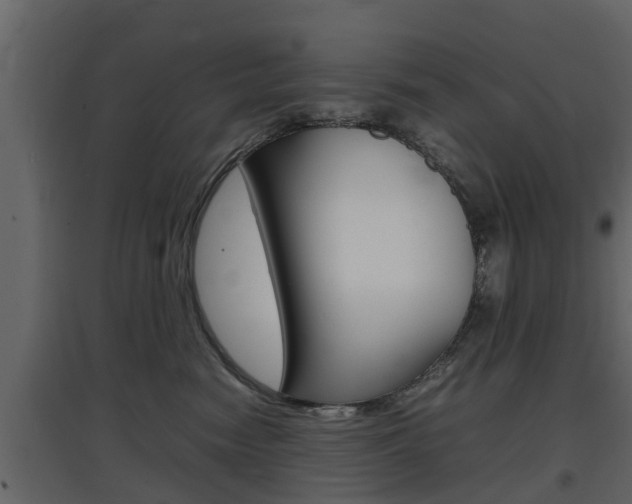 X0000097800474200803140740