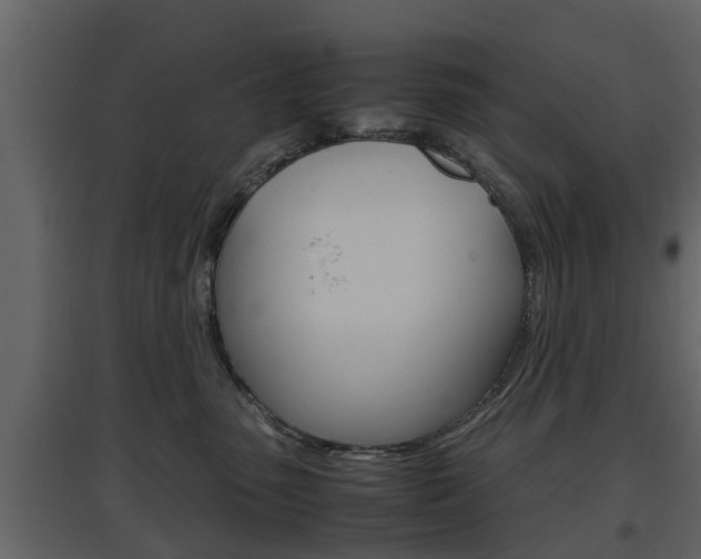 X0000097800475200803140740
