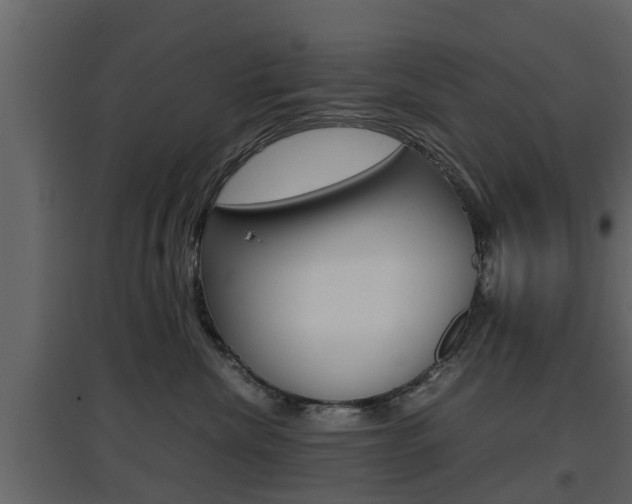 X0000097800476200803140740