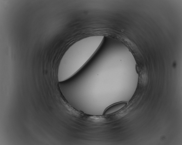 X0000097800477200803140740