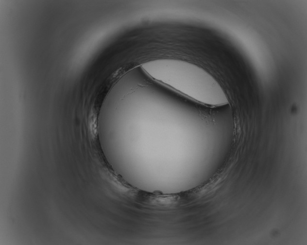 X0000097800479200803140740
