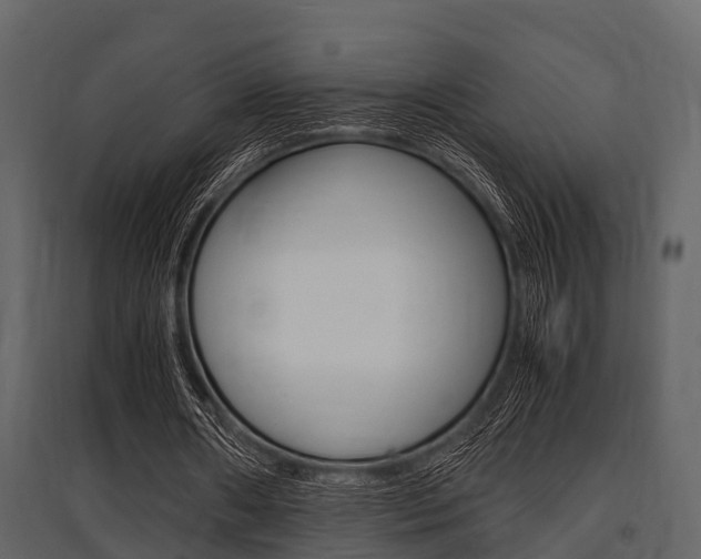 X0000097800482200803140739