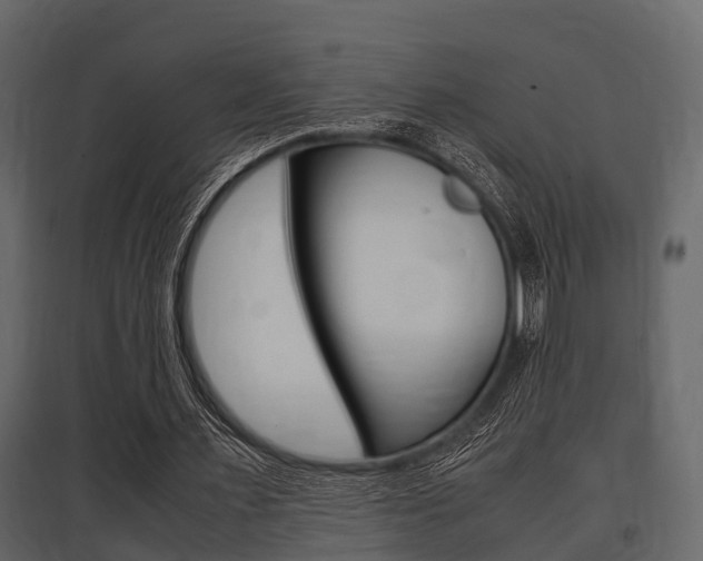 X0000097800483200803140739