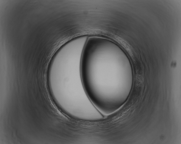 X0000097800485200803140739
