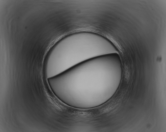 X0000097800486200803140739