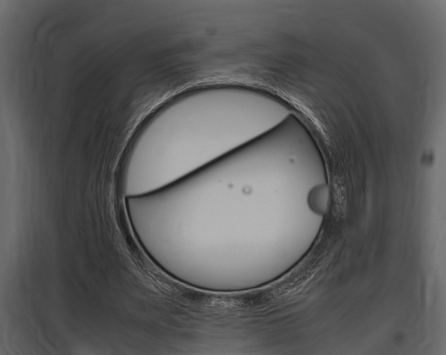 X0000097800487200803140739