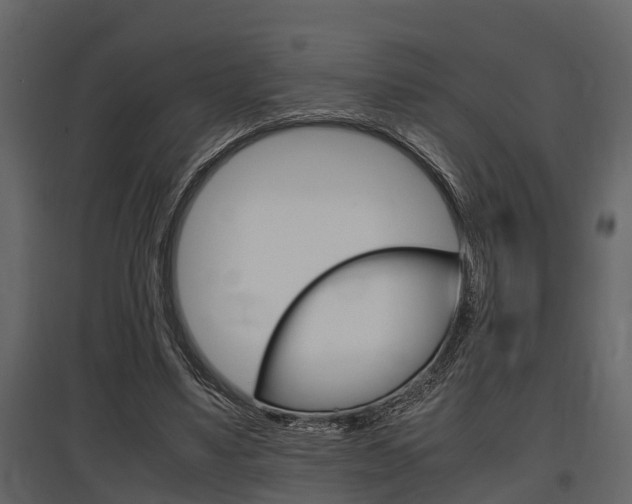 X0000097800491200803140739