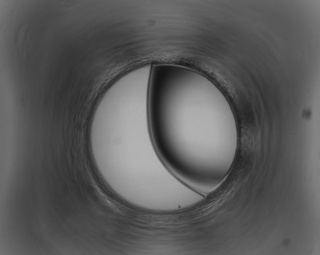 X0000097800493200803140739