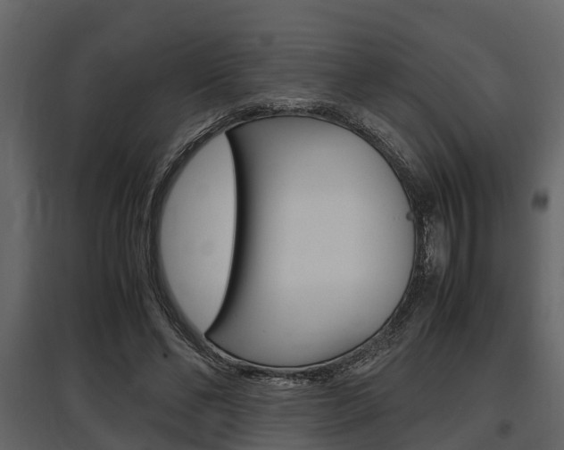X0000097800494200803140739