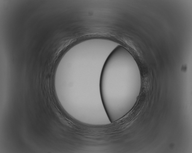 X0000097800495200803140739