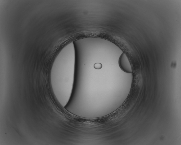 X0000097800498200803140739
