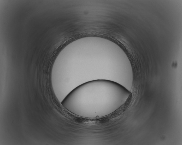 X0000097800499200803140739