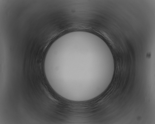 X0000097800500200803140739