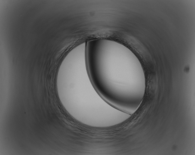 X0000097800501200803140739