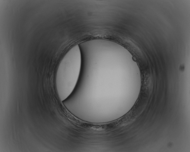 X0000097800502200803140739