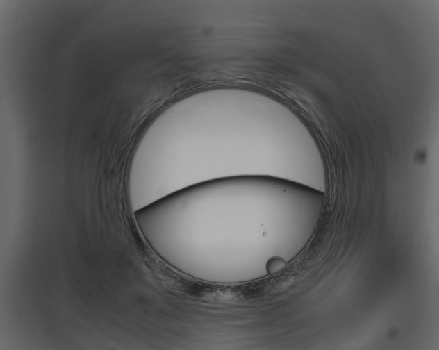 X0000097800503200803140739