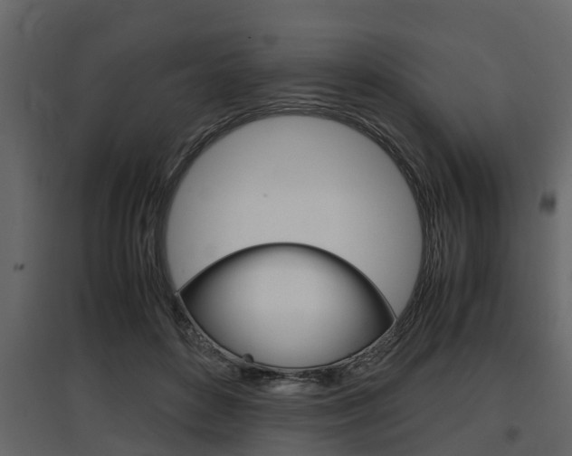 X0000097800504200803140739