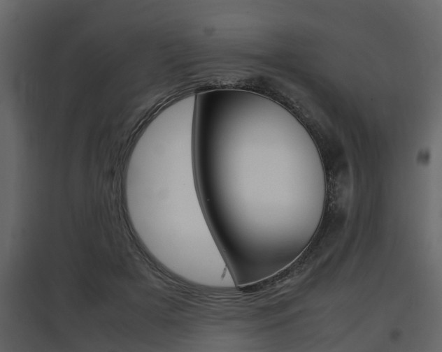 X0000097800505200803140739