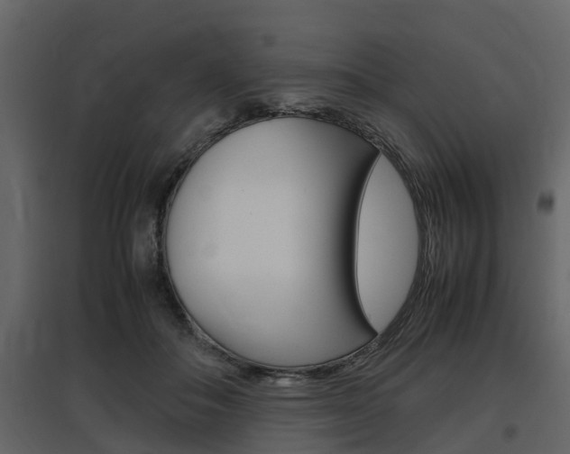 X0000097800506200803140739