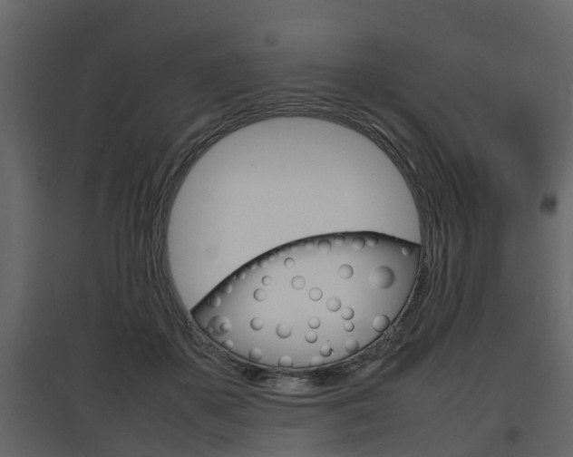 X0000097800507200803140739