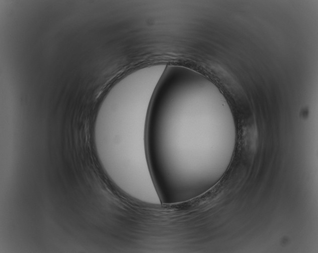X0000097800508200803140739