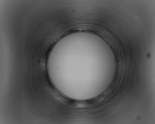 X0000097800510200803140739