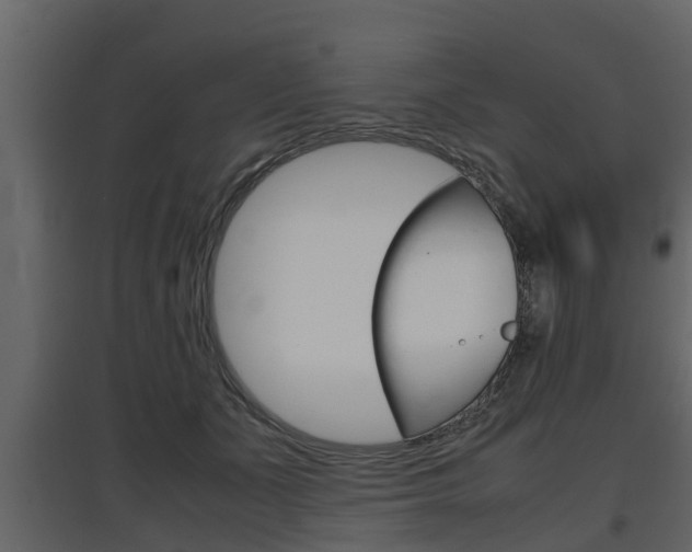 X0000097800511200803140739