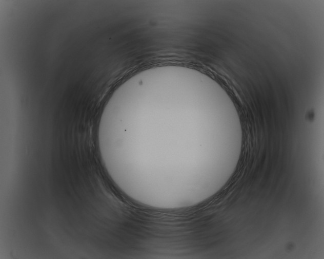 X0000097800512200803140739