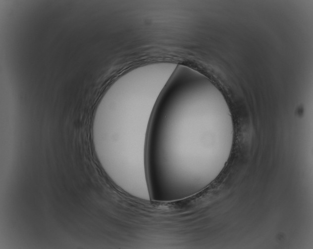 X0000097800513200803140739