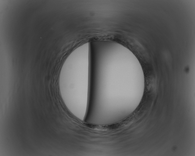 X0000097800515200803140739
