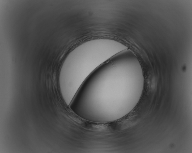 X0000097800516200803140739