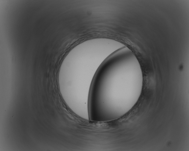 X0000097800517200803140739