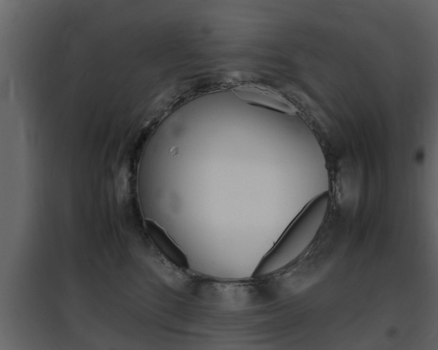 X0000097800520200803140739
